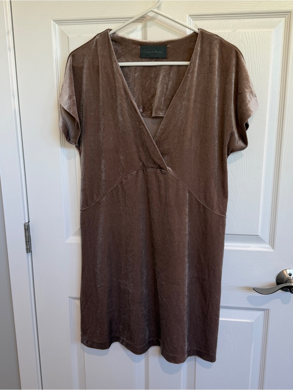 Sunday In Brooklyn Velvet Dress